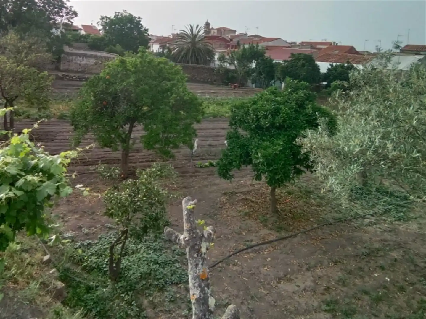 Casa o xalet en venda a Calle Lunara, San Vicente de Alcántara Casa o xalet en venda en San Vicente de Alcántara amb Calefacció, Jardí privat i Terrassa