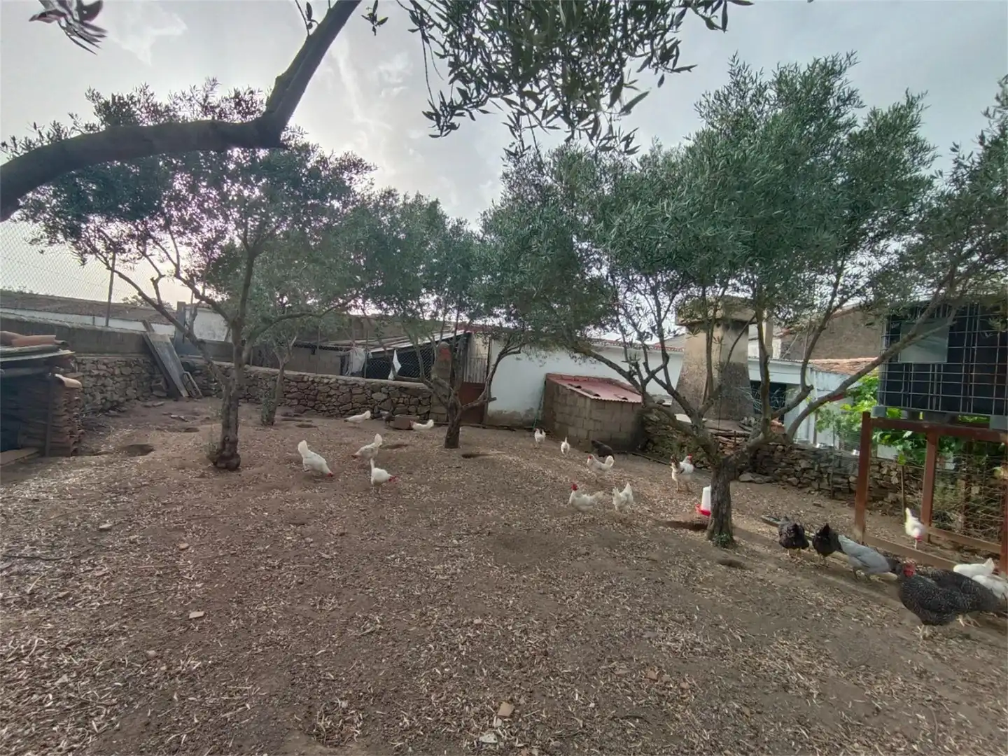 Casa o xalet en venda a Calle Lunara, San Vicente de Alcántara Casa o xalet en venda en San Vicente de Alcántara amb Calefacció, Jardí privat i Terrassa