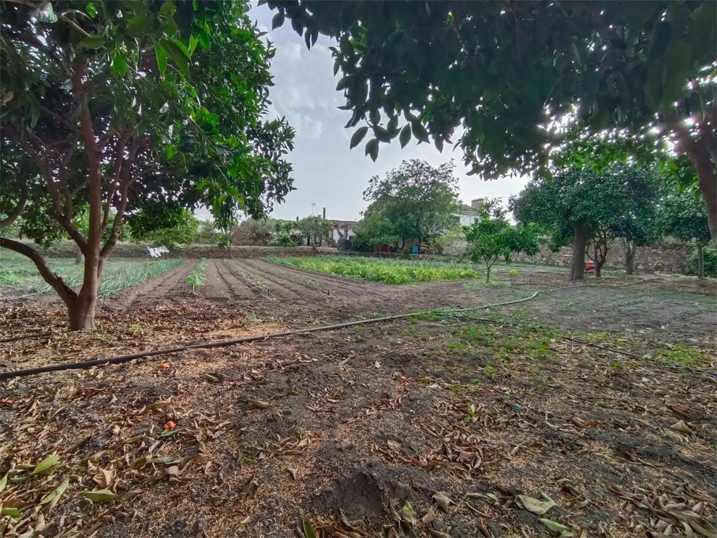 Casa o xalet en venda a Calle Lunara, San Vicente de Alcántara Casa o xalet en venda en San Vicente de Alcántara amb Calefacció, Jardí privat i Terrassa