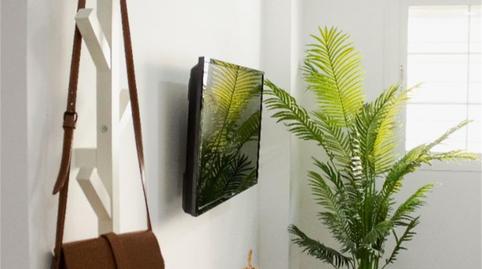 Flat to rent in Camino de la Noria, Balanegra, Almería - image 2 Photo 2 of Flat to rent in Camino de la Noria, Balanegra, Almería