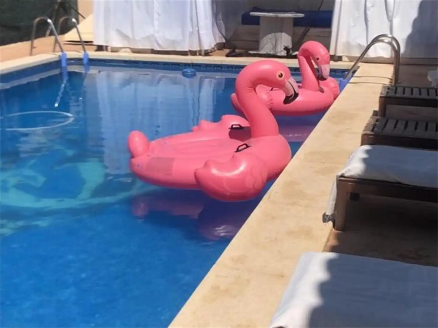 Swimming pool of Flat for share in Molina de Segura  with Swimming Pool