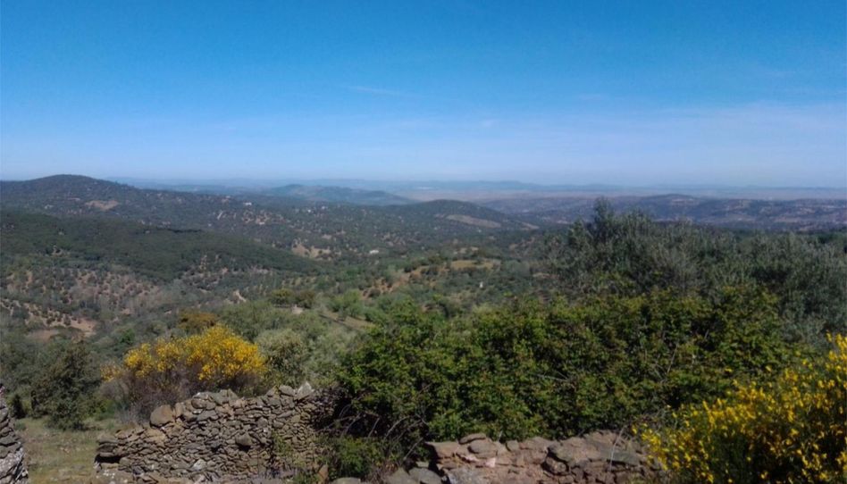 Terreno en venta en Ba-039, Calera de León, Badajoz - imagen 1 Foto 1 de Terreno en venta en Ba-039, Calera de León, Badajoz