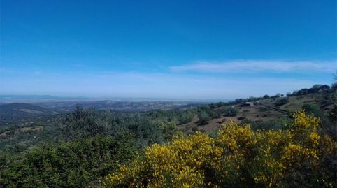 Terreno en venta en Ba-039, Calera de León, Badajoz - imagen 2 Foto 2 de Terreno en venta en Ba-039, Calera de León, Badajoz