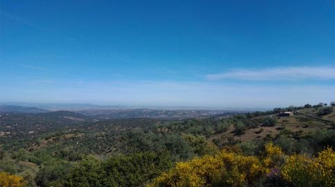 Terreno en venta en Ba-039, Calera de León, Badajoz - imagen 3 Foto 3 de Terreno en venta en Ba-039, Calera de León, Badajoz