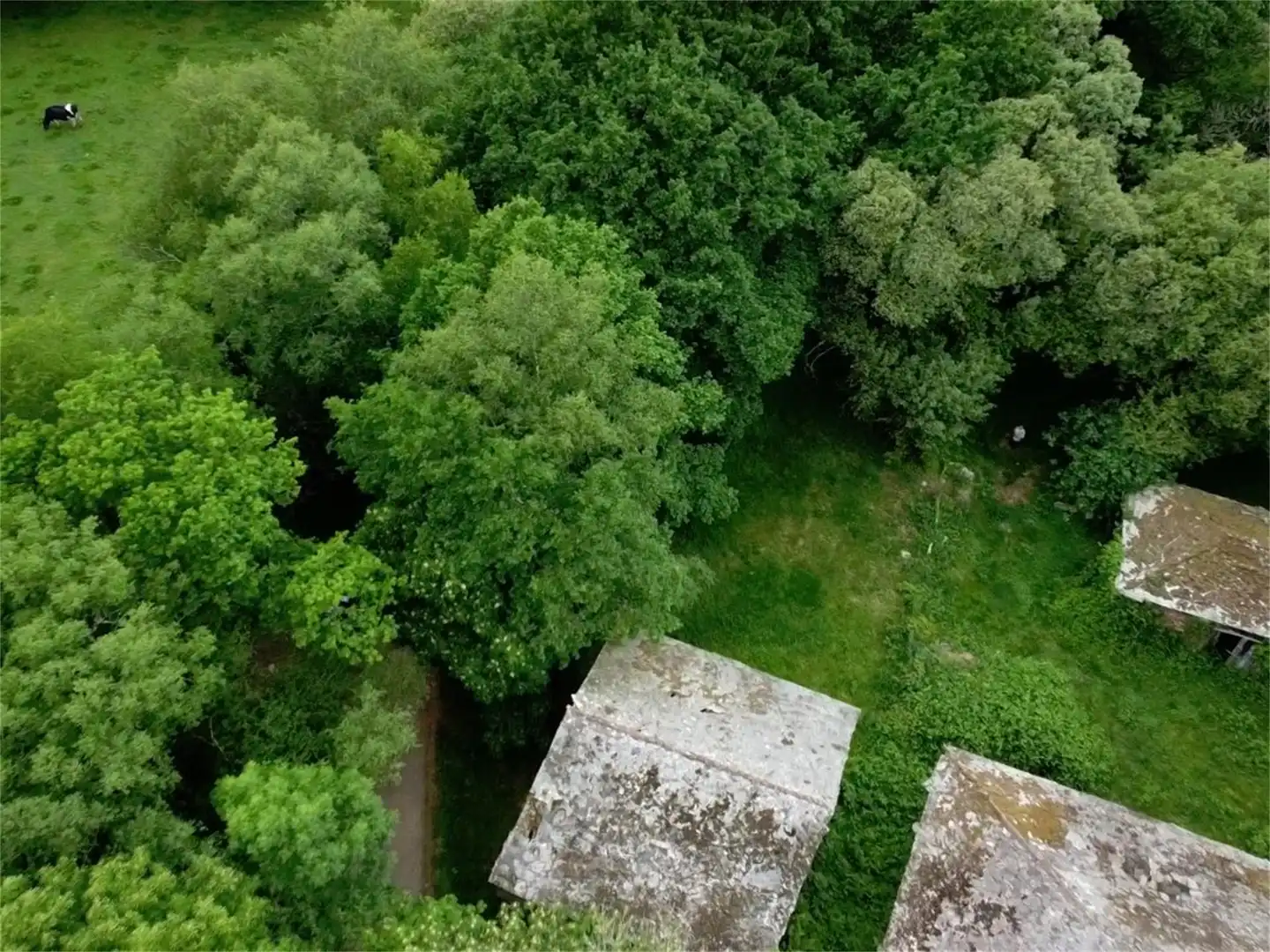 Casa o xalet en venda a Fraga Escura, Cospeito Jardí de Casa o xalet en venda en Cospeito amb Jardí privat