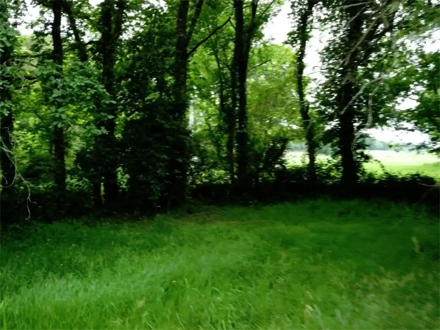 Casa o xalet en venda a Fraga Escura, Cospeito Casa o xalet en venda en Cospeito amb Jardí privat