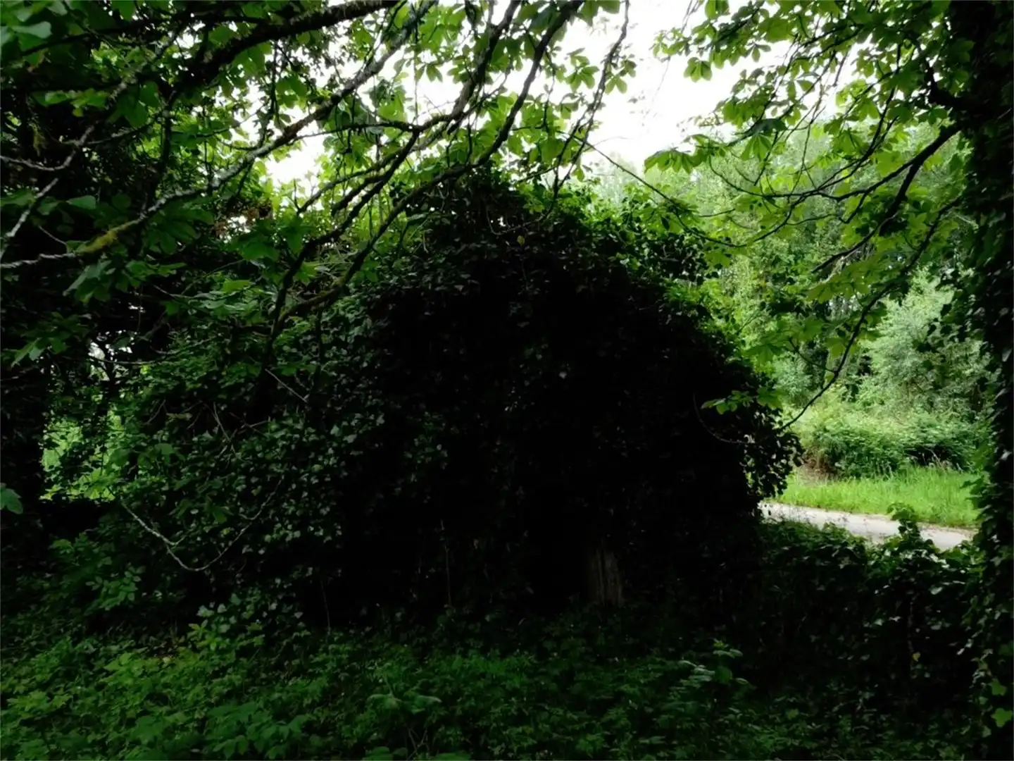 Casa o xalet en venda a Fraga Escura, Cospeito Casa o xalet en venda en Cospeito amb Jardí privat