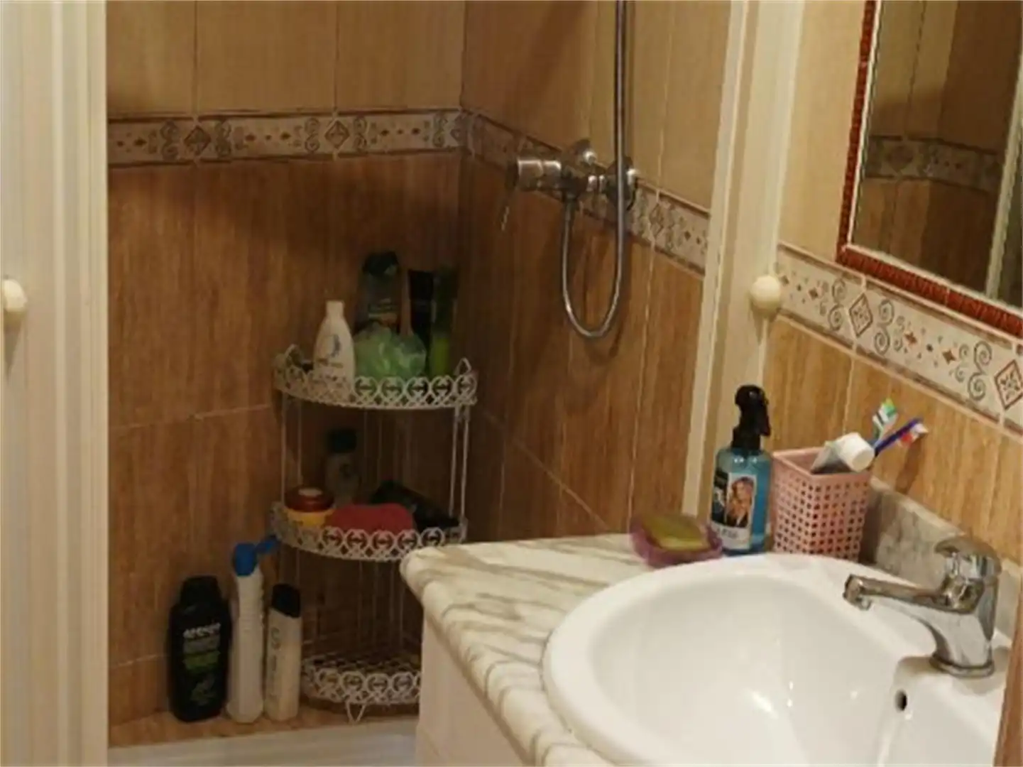 Bathroom of Flat for share in León Capital   with Storage room and Furnished