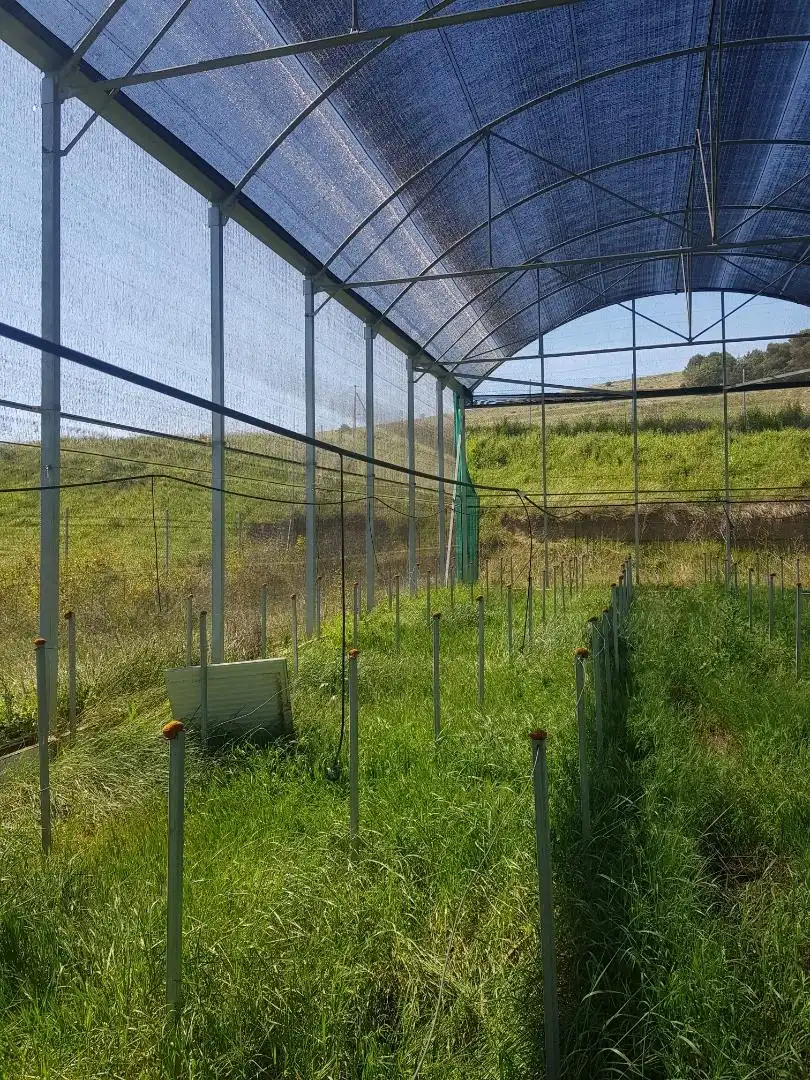 Finca rústica en venda en Valverde de Campos