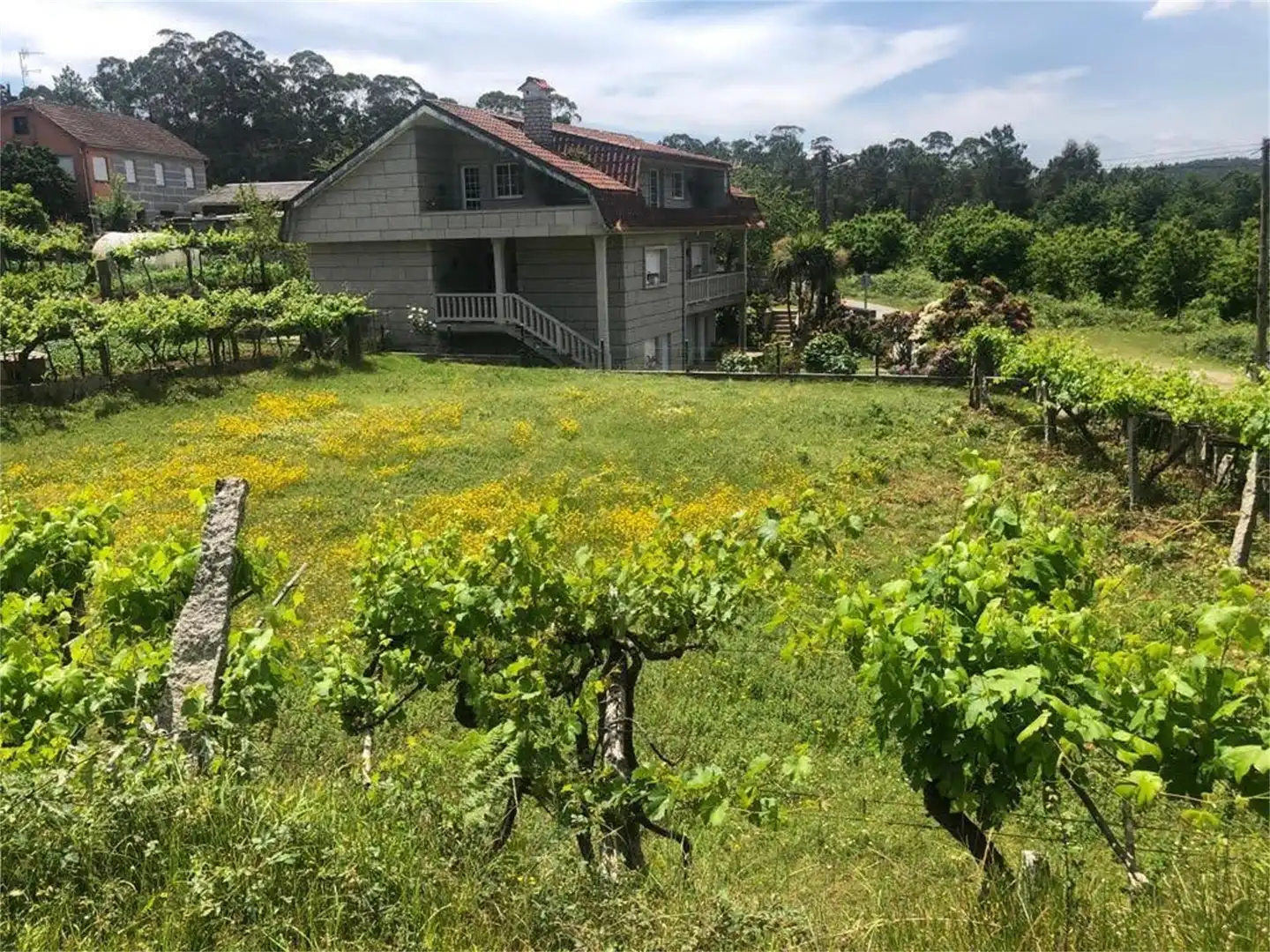 Urbanizable en venta en Salceda de Caselas