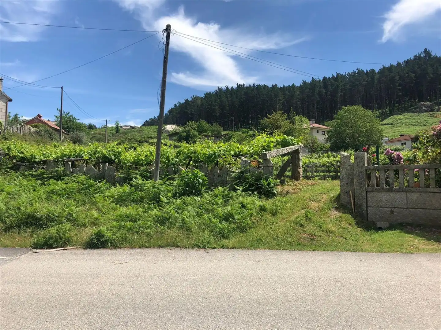 Urbanizable en venta en Salceda de Caselas
