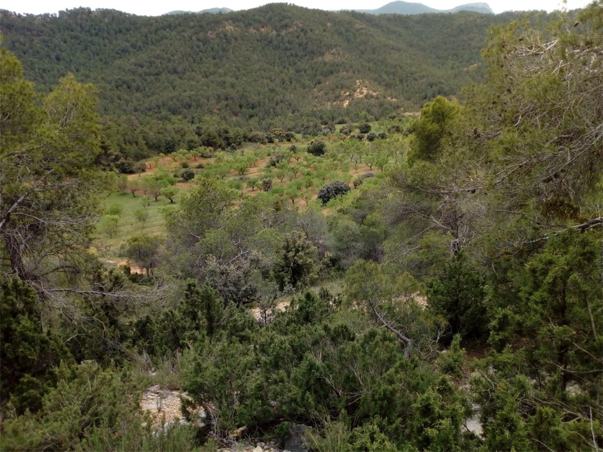 Country house for sale in Fuentespalda