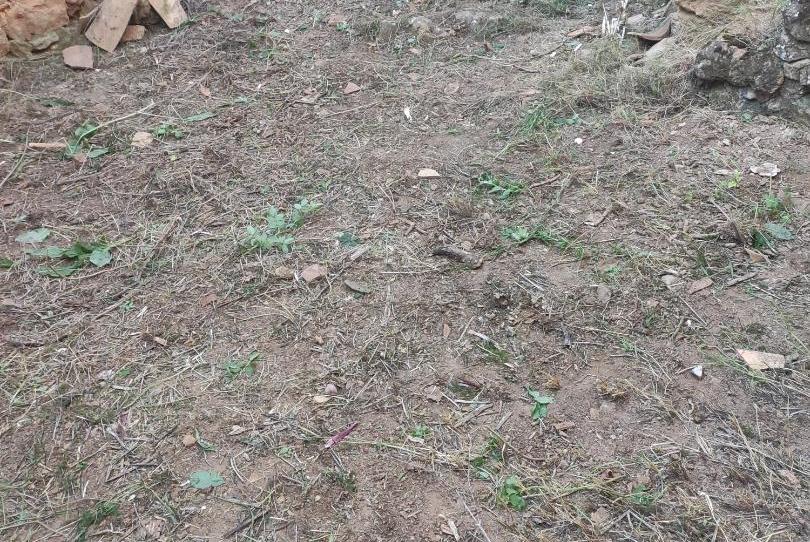 Casa o xalet en venda a Calle Real, Momblona, Soria - imatge 1 Foto 1 de Casa o xalet en venda a Calle Real, Momblona, Soria