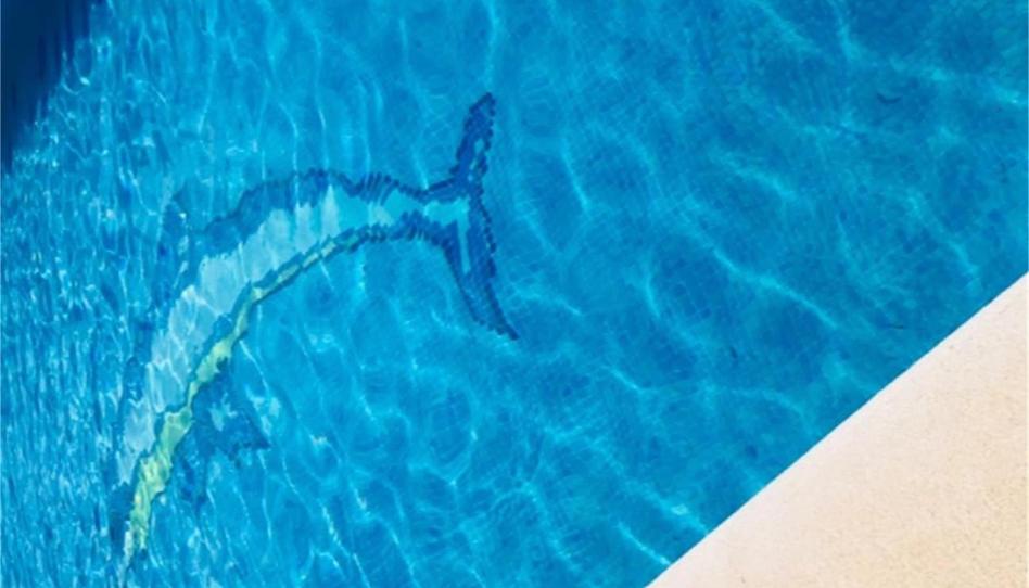 Casa o xalet per a compartir a Carril la Vigía, Barrio Nuevo, Cádiz - imatge 1 Foto 1 de Casa o xalet per a compartir a Carril la Vigía, Barrio Nuevo, Cádiz