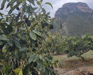 Garten von Grundstücke zum verkauf in Los Guajares