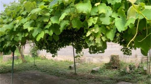 Foto 4 de Casa o xalet en venda a Gandarío, Bergondo, A Coruña