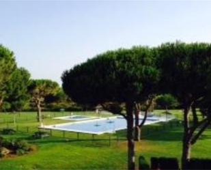 Piscina de Apartament de lloguer en Chiclana de la Frontera amb Aire condicionat, Terrassa i Piscina