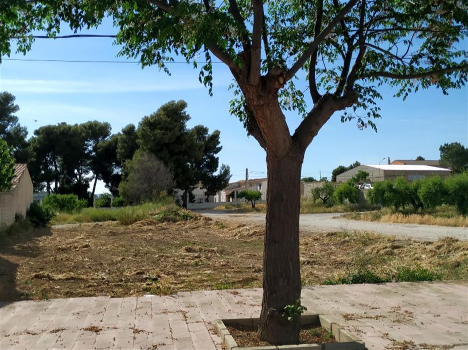 Constructible Land for sale in Fuente-Álamo