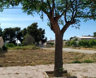 Constructible Land for sale in Fuente-Álamo