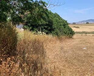 Land for sale in Jerez de la Frontera