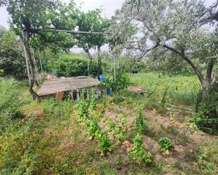 Finca rústica en venda en Plasencia