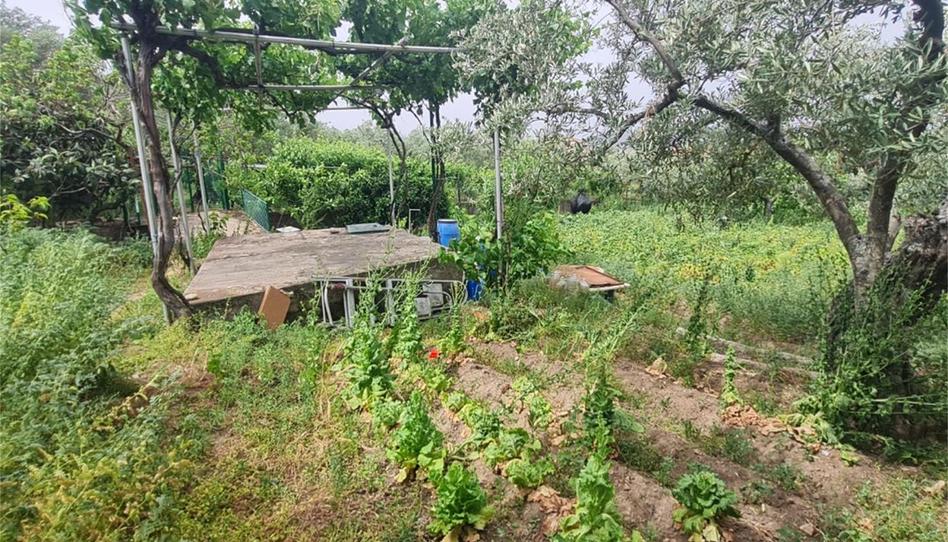 Finca rústica en venda a Plasencia, Zona Sur - Av. de España - San Miguel, Cáceres - imatge 1 Foto 1 de Finca rústica en venda a Plasencia, Zona Sur - Av. de España - San Miguel, Cáceres