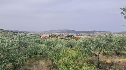 Finca rústica en venda a Plasencia, Zona Sur - Av. de España - San Miguel, Cáceres - imatge 2 Foto 2 de Finca rústica en venda a Plasencia, Zona Sur - Av. de España - San Miguel, Cáceres