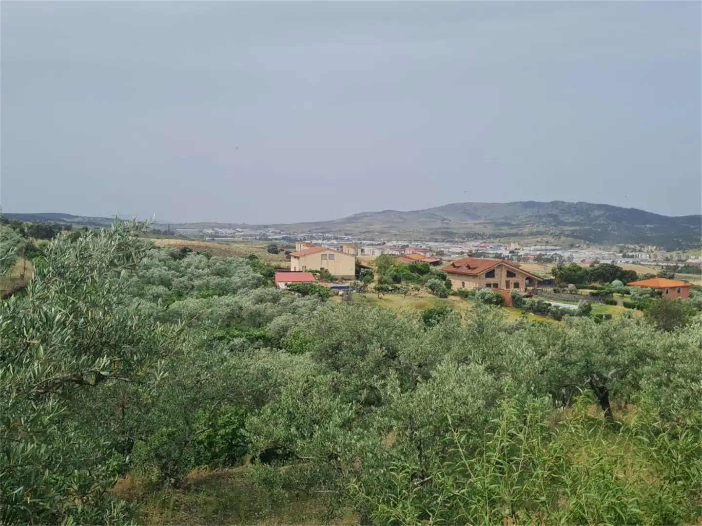 Finca rústica en venta en Plasencia