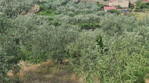 Finca rústica en venda a Plasencia, Zona Sur - Av. de España - San Miguel, Cáceres - imatge 4 Foto 4 de Finca rústica en venda a Plasencia, Zona Sur - Av. de España - San Miguel, Cáceres