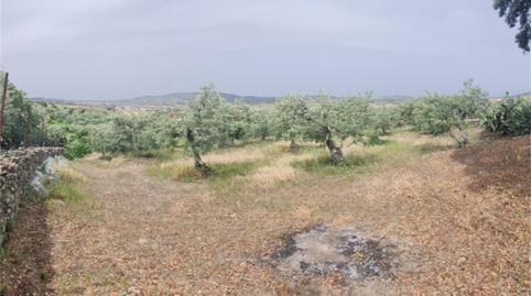 Finca rústica en venda a Plasencia, Zona Sur - Av. de España - San Miguel, Cáceres - imatge 5 Foto 5 de Finca rústica en venda a Plasencia, Zona Sur - Av. de España - San Miguel, Cáceres
