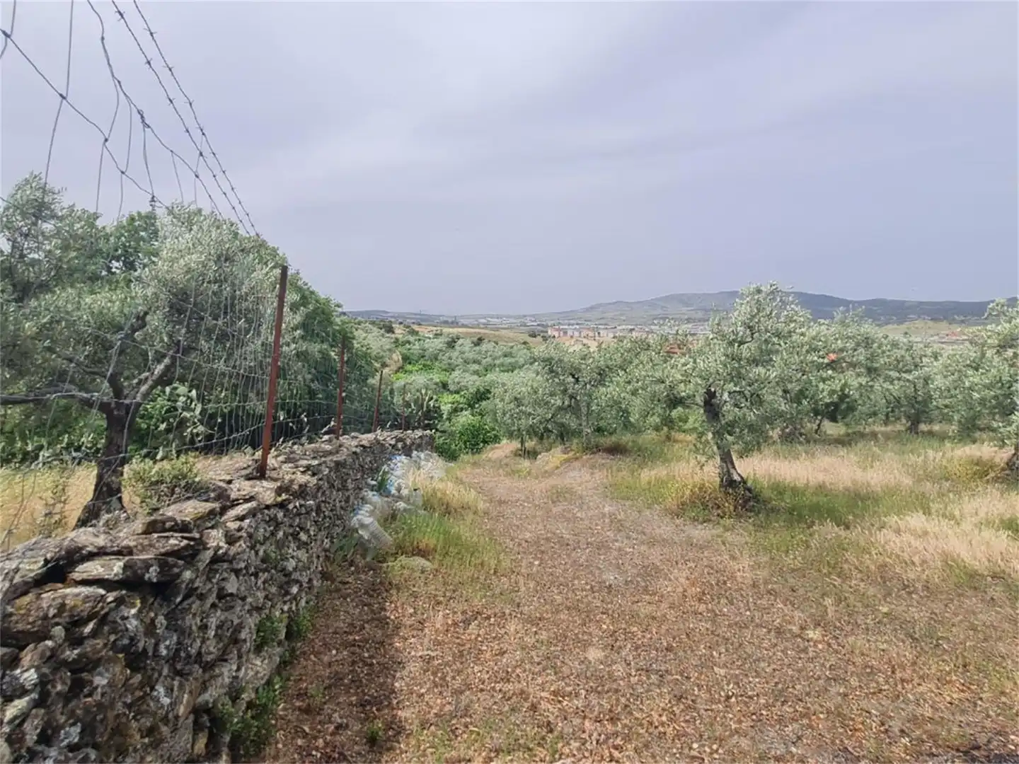 Finca rústica en venta en Plasencia