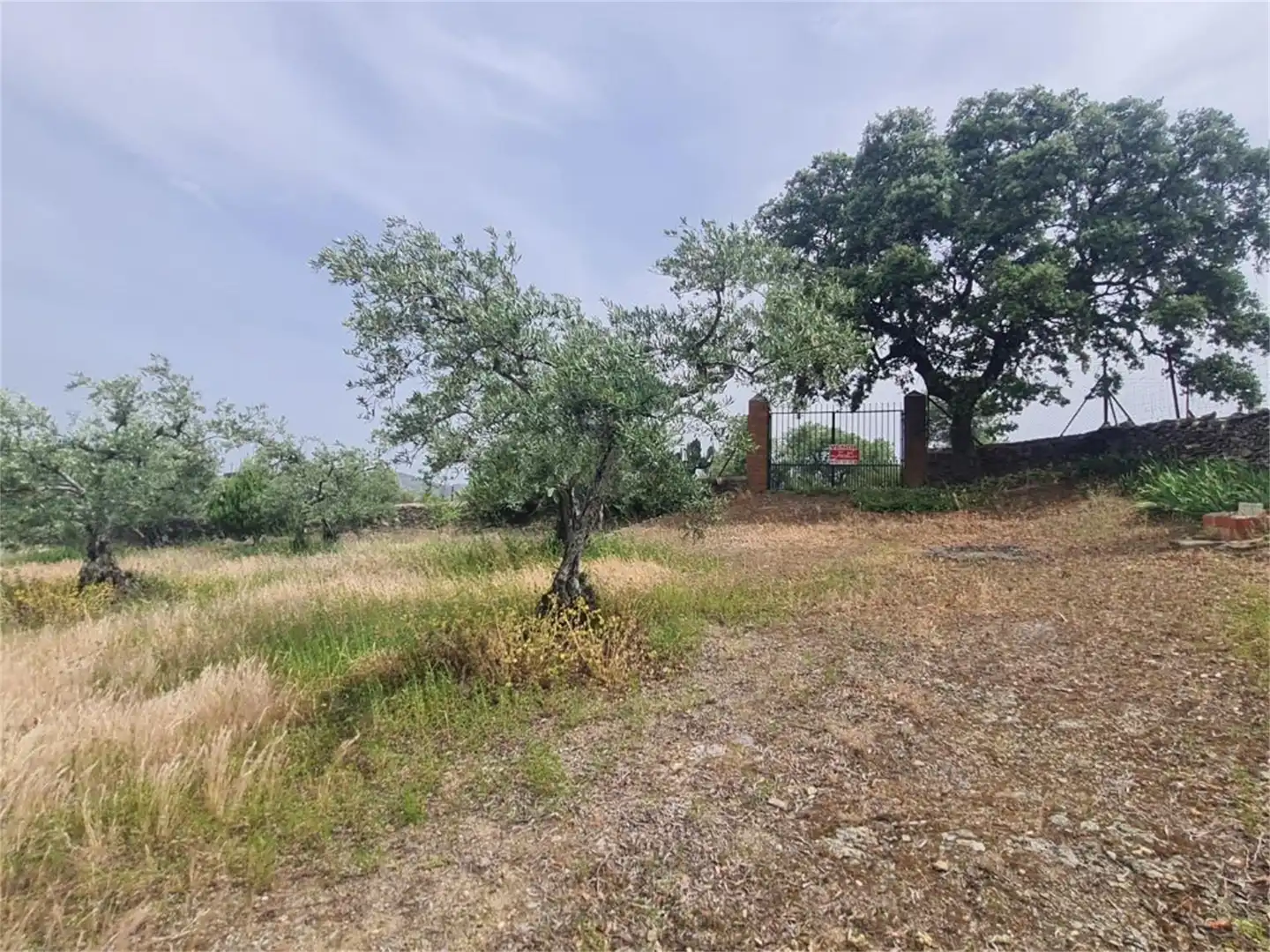 Finca rústica en venta en Plasencia
