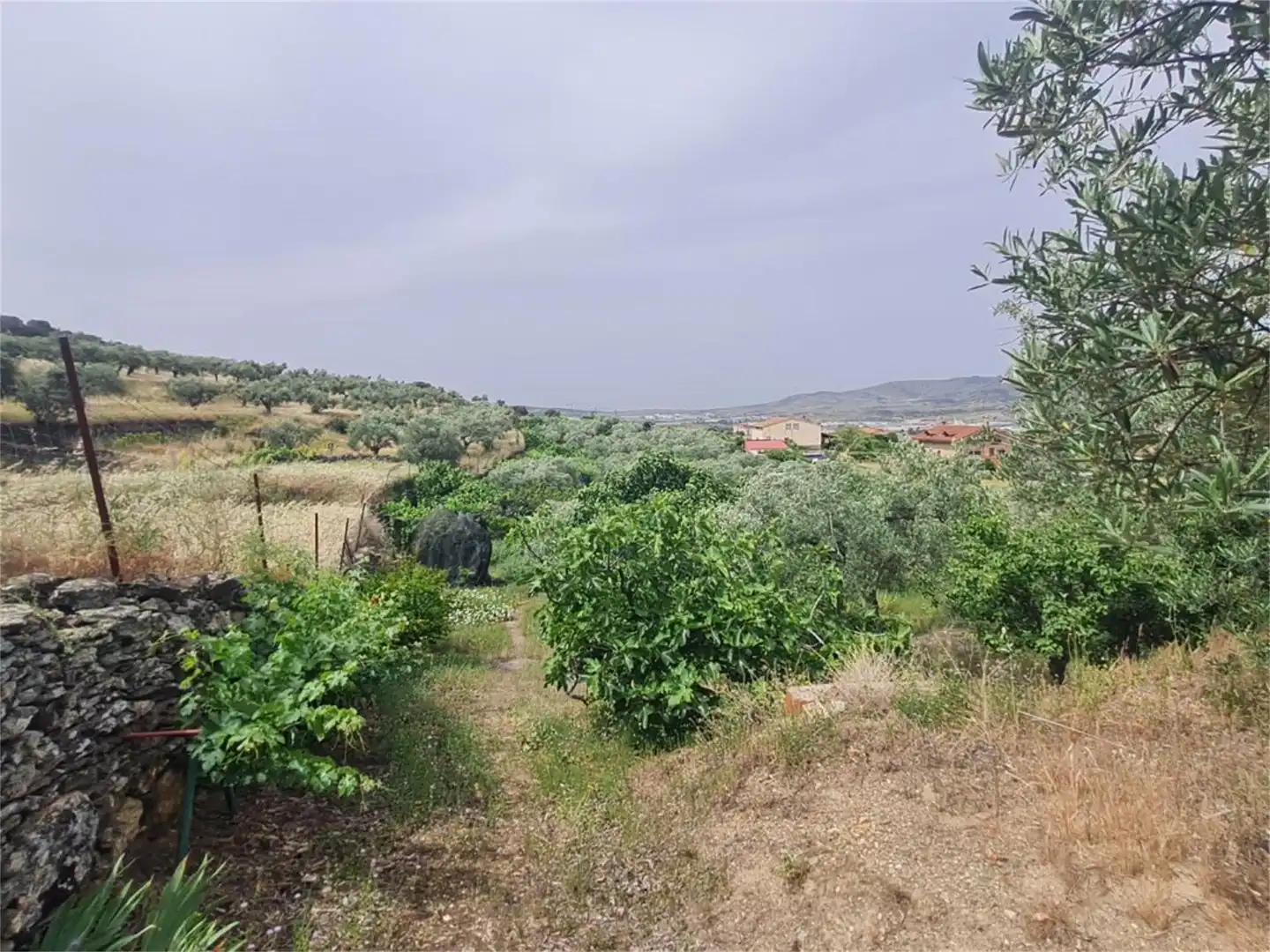 Finca rústica en venta en Plasencia