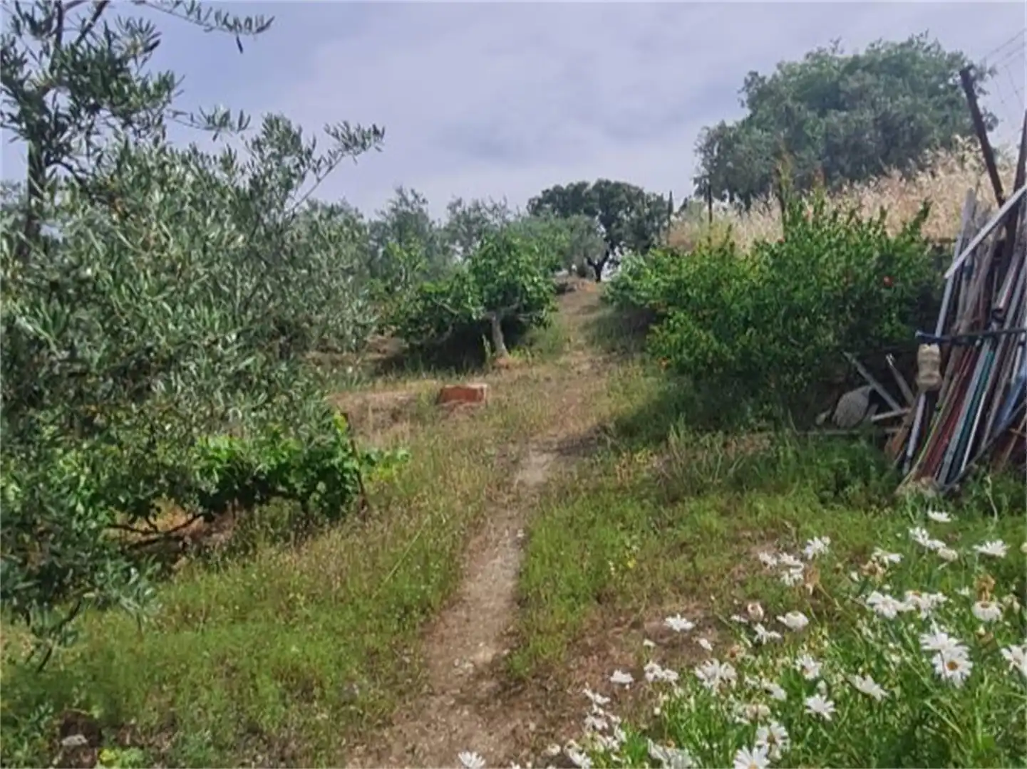 Finca rústica en venta en Plasencia