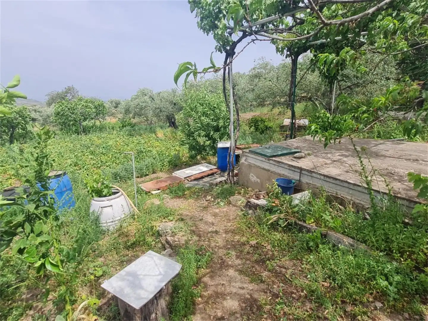 Finca rústica en venta en Plasencia