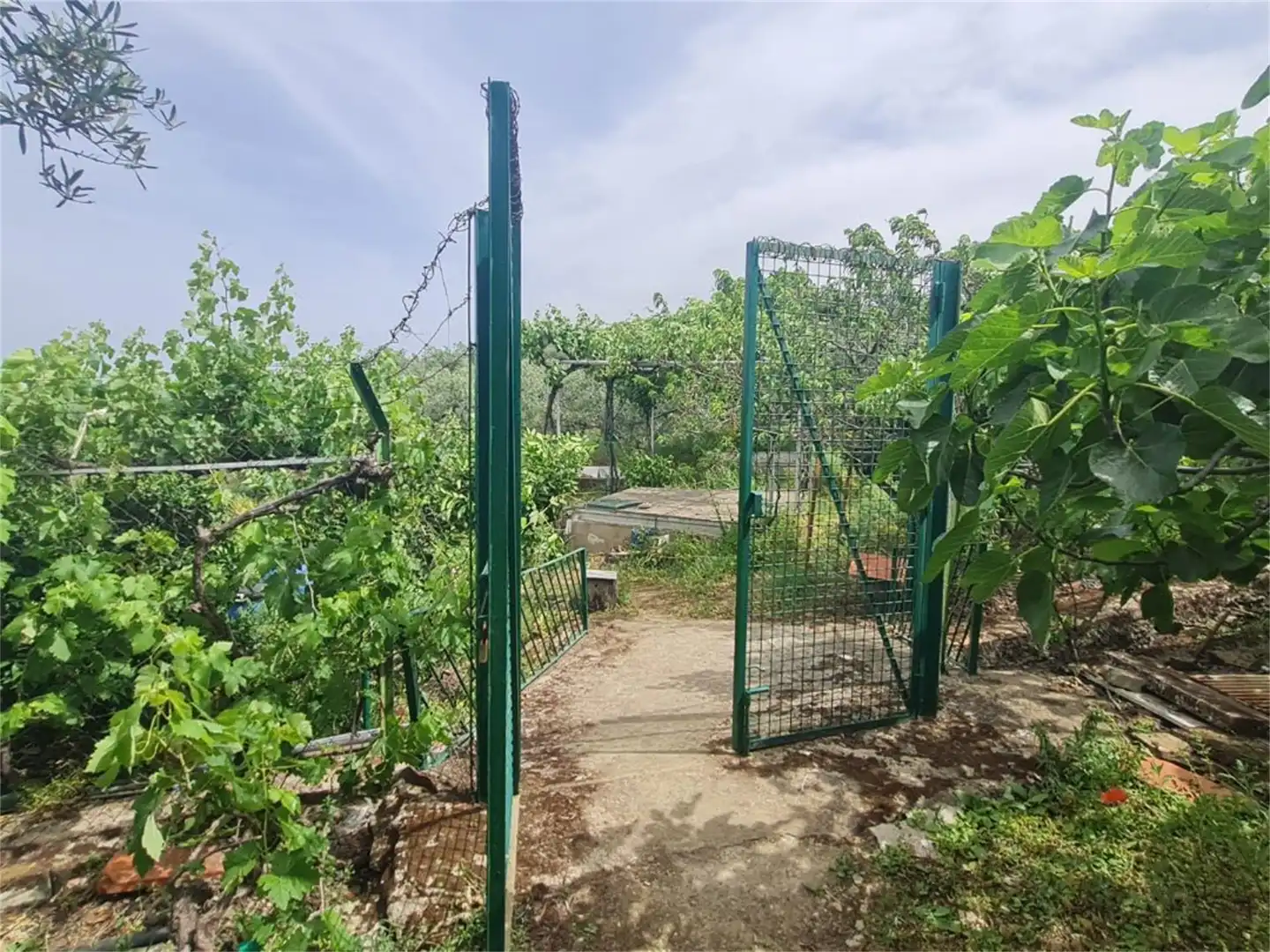 Finca rústica en venta en Plasencia