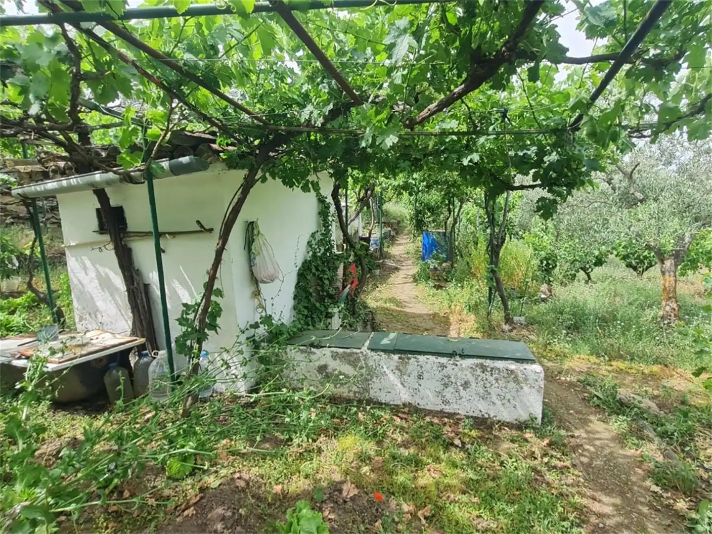 Finca rústica en venta en Plasencia