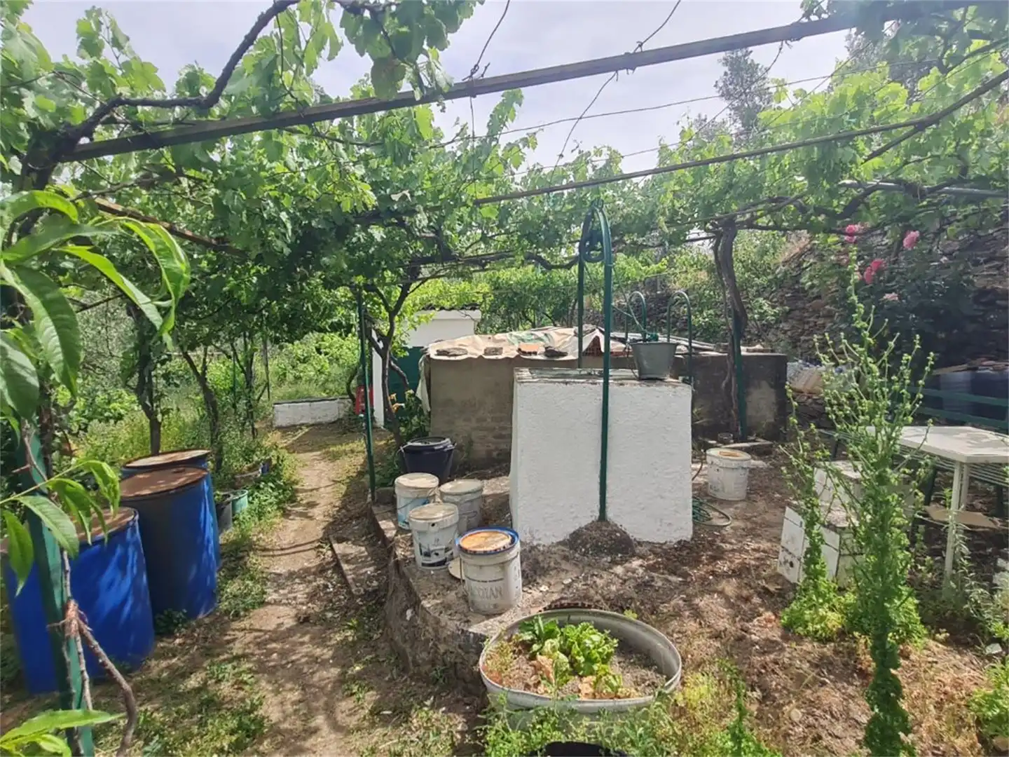 Jardín de Finca rústica en venta en Plasencia