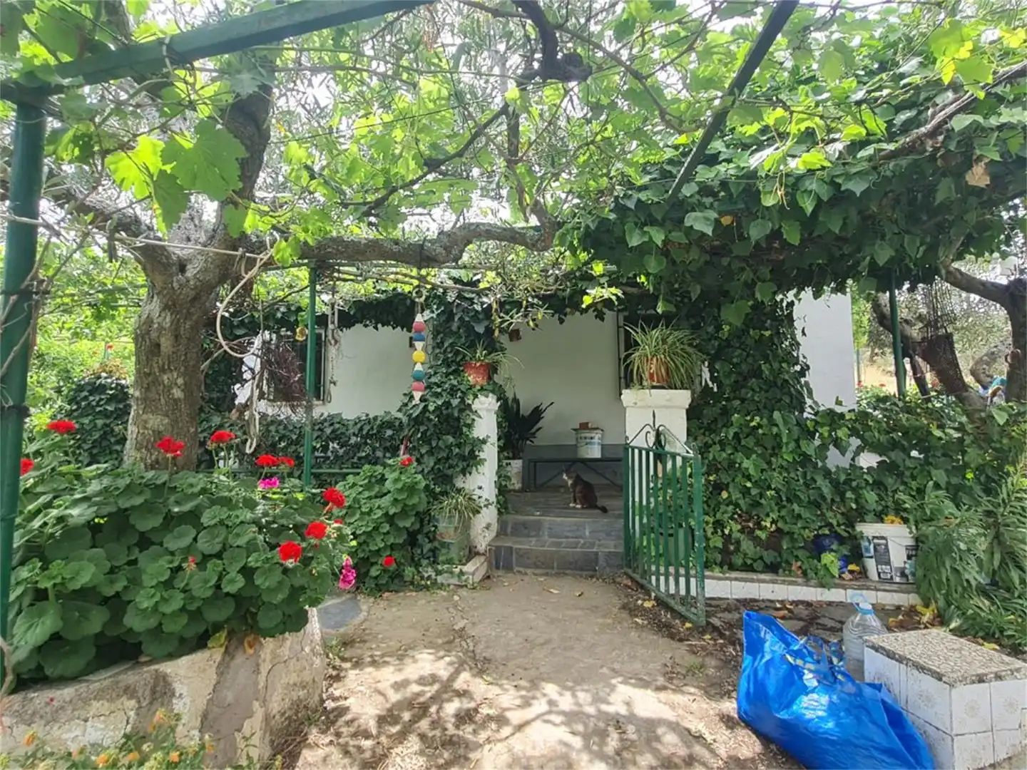 Jardín de Finca rústica en venta en Plasencia