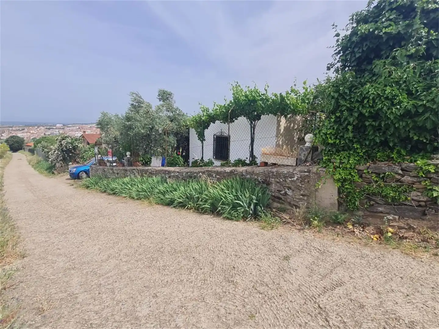 Finca rústica en venta en Plasencia