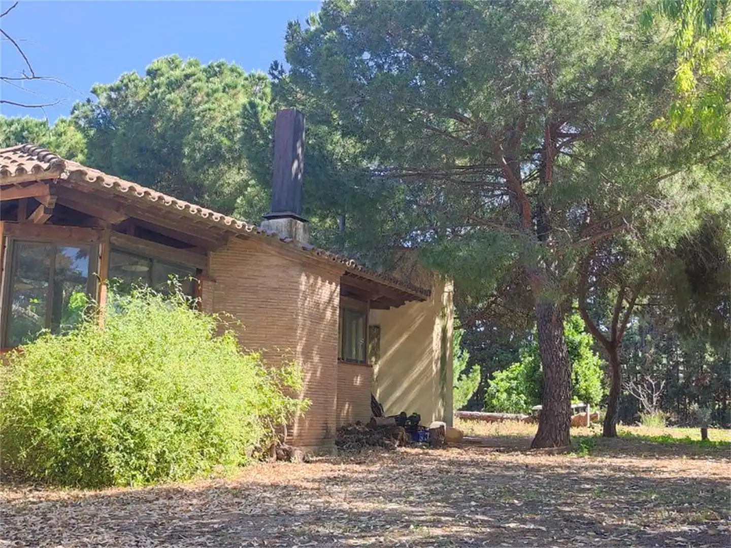 Vista exterior de Finca rústica en venta en Riudoms