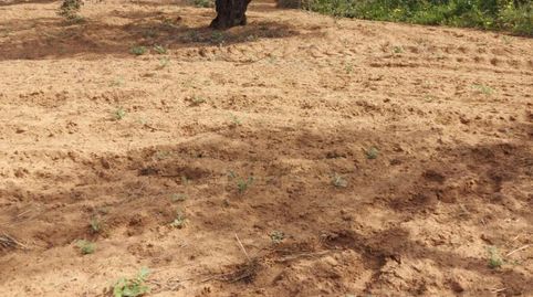 Photo 2 of Country homes for sale in Calle Lope de Vega, 4, Pilas, Sevilla