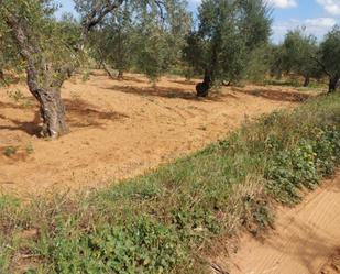 Finca rústica en venda en Pilas