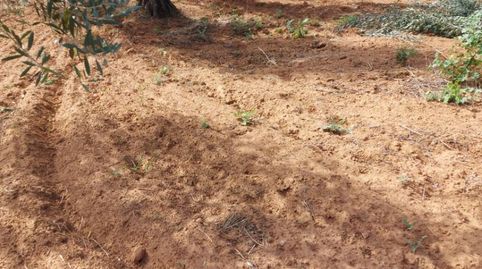 Photo 5 of Country homes for sale in Calle Lope de Vega, 4, Pilas, Sevilla