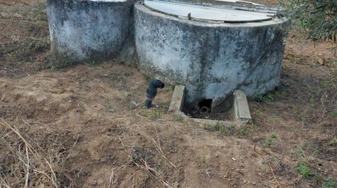 Photo 3 of Country homes for sale in Calle Lope de Vega, 4, Pilas, Sevilla