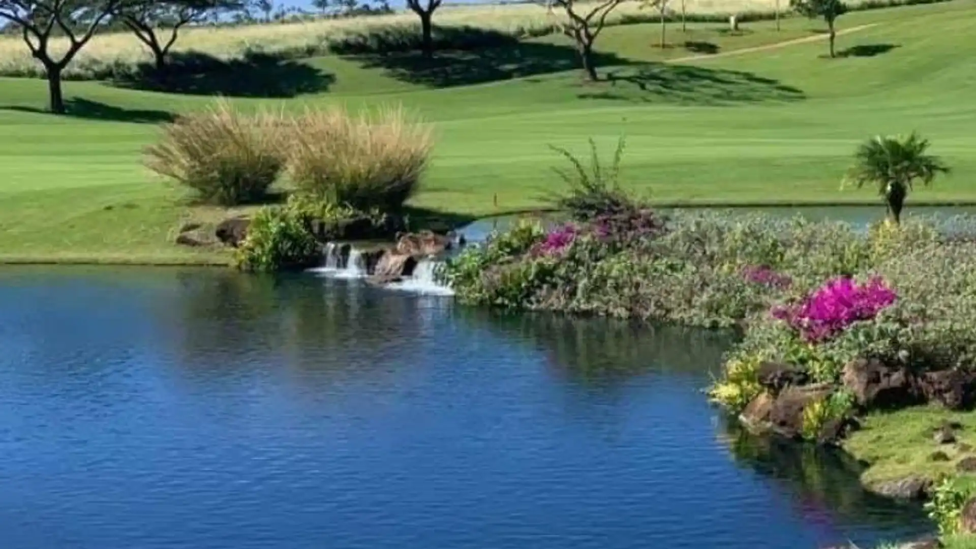 Vista exterior de Terreno en venta en Priego de Córdoba