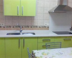 Kitchen of Flat for sale in Yunquera