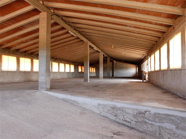 Local comercial en Alquiler en Carrer Sant Llorenç en Manacor Centre