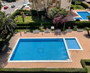 Swimming pool of Flat to rent in Gandia  with Terrace, Swimming Pool and Balcony