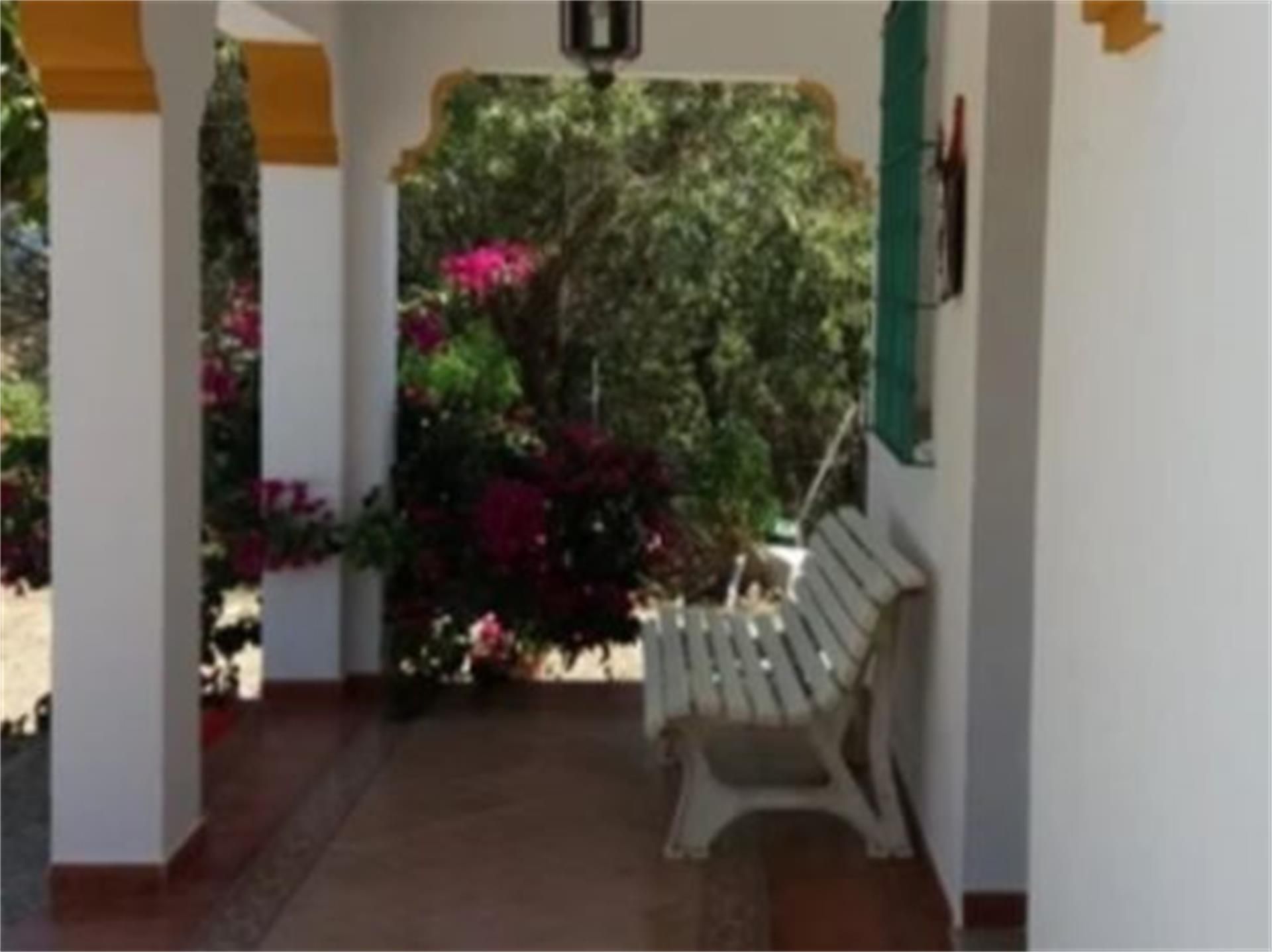Jardí de Casa o xalet en venda en Vejer de la Frontera amb Terrassa